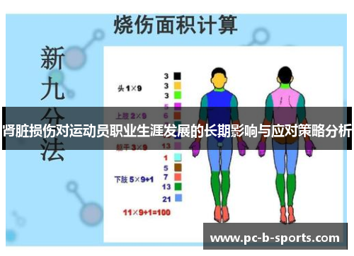 肾脏损伤对运动员职业生涯发展的长期影响与应对策略分析 肾脏损伤对运动员职业生涯发展的长期影响与应对策略分析