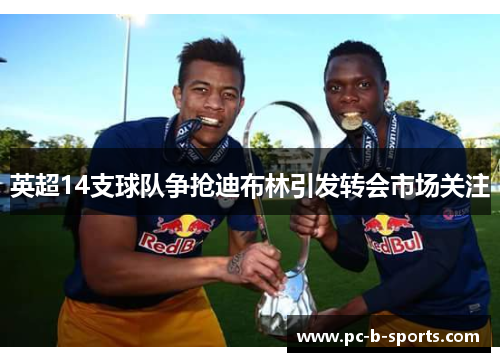 英超14支球队争抢迪布林引发转会市场关注 英超14支球队争抢迪布林引发转会市场关注