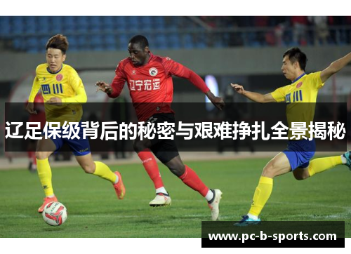 辽足保级背后的秘密与艰难挣扎全景揭秘