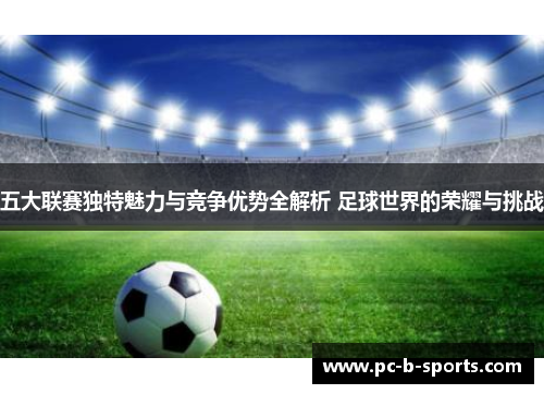 五大联赛独特魅力与竞争优势全解析 足球世界的荣耀与挑战