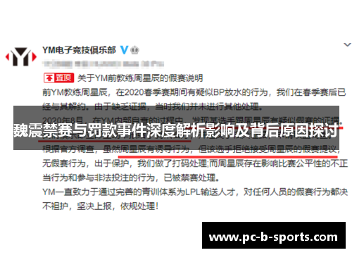 魏震禁赛与罚款事件深度解析影响及背后原因探讨