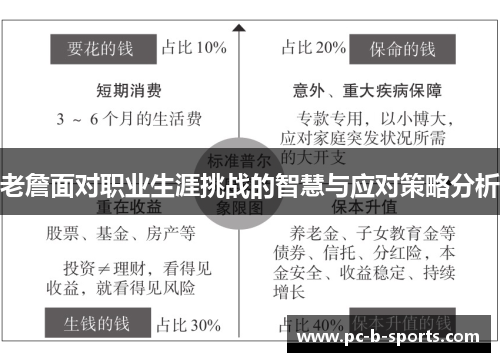 老詹面对职业生涯挑战的智慧与应对策略分析