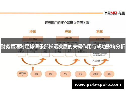 财务管理对足球俱乐部长远发展的关键作用与成功影响分析 财务管理对足球俱乐部长远发展的关键作用与成功影响分析