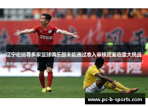 辽宁宏运等多家足球俱乐部未能通过准入审核或面临重大挑战